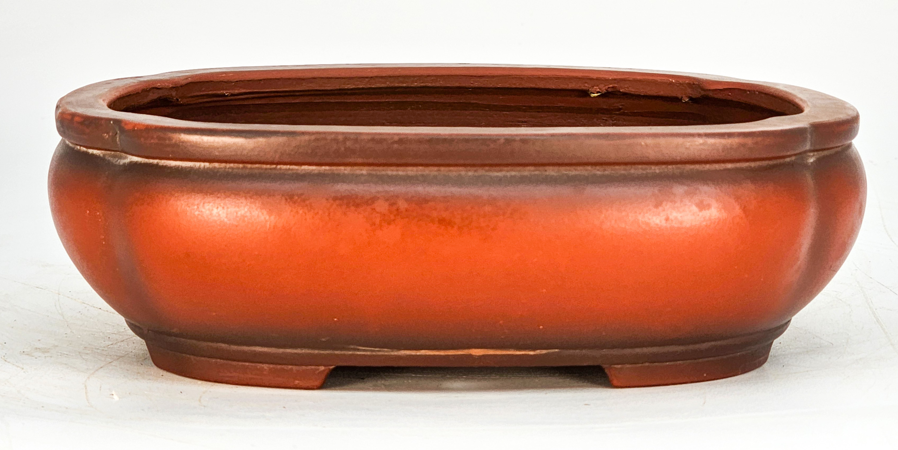 Bonsaischale Bigei Japan 19x14,5x6cm