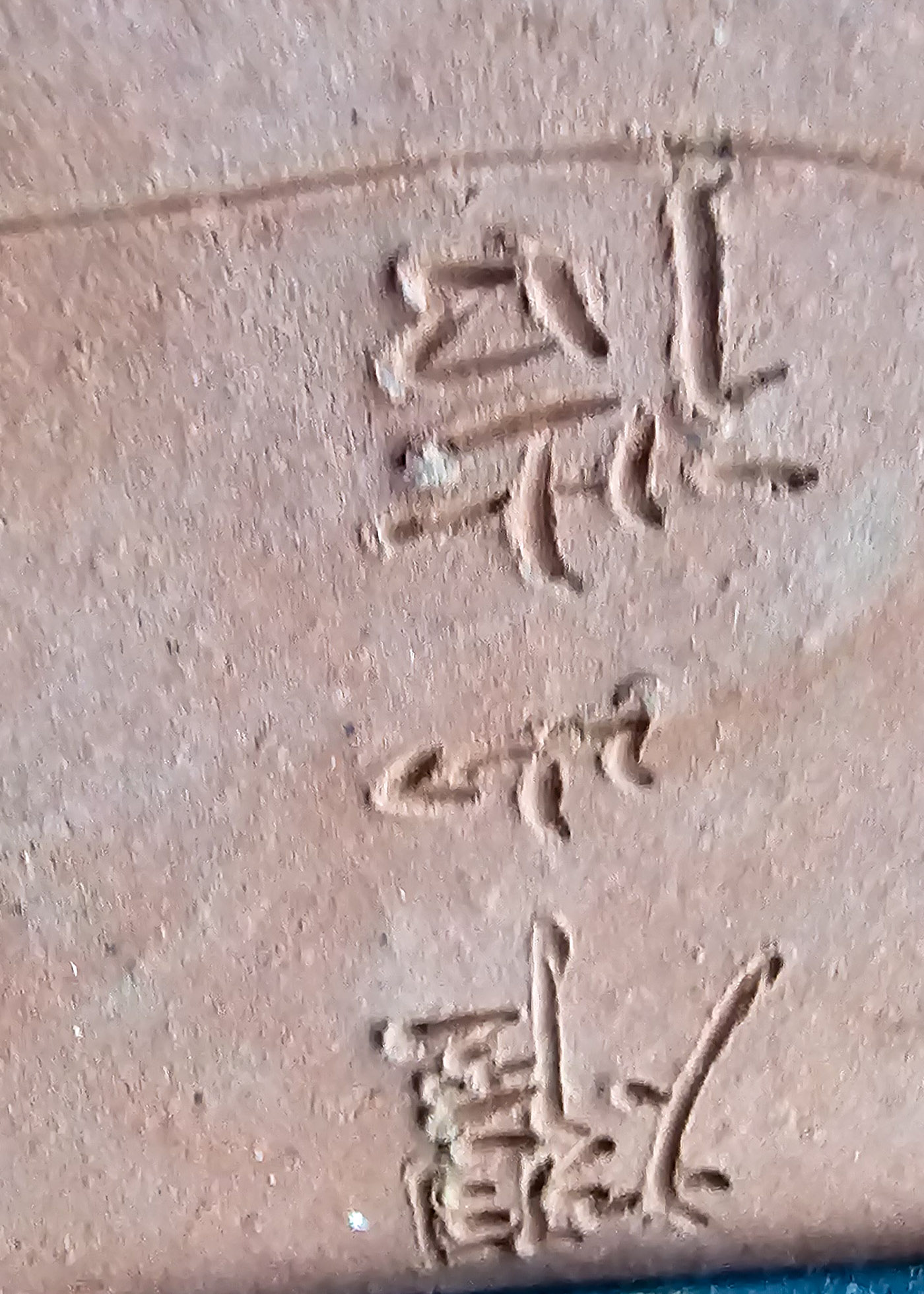 Bonsai Azalee - Rhododendron indicum osakazuki 23cm 