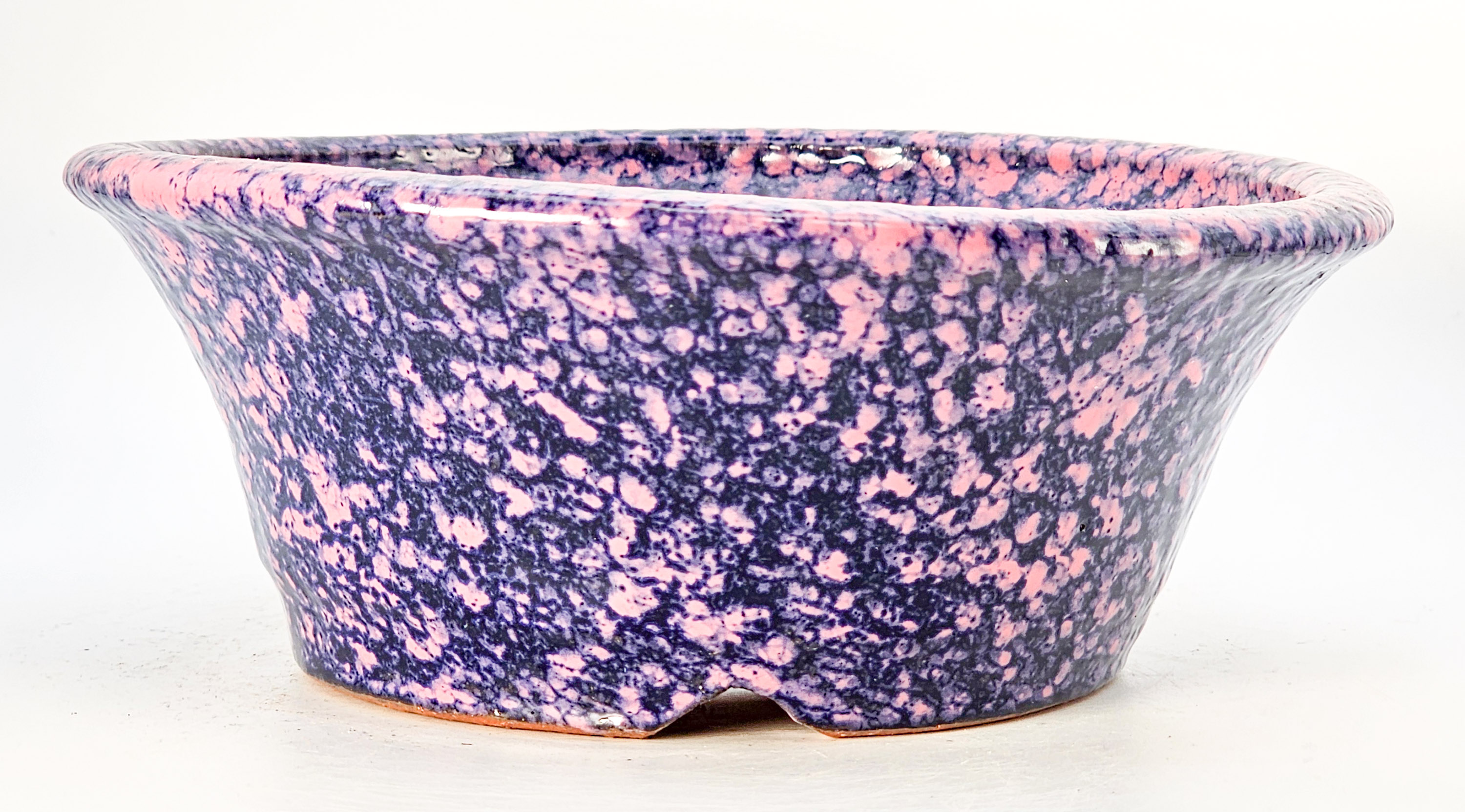 Bonsaischale Shuho Tokoname 16x6cm